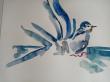 L'oiseau bleu
Aquarelle 52 x 37cm 
Avril 2021
Prix à définir 